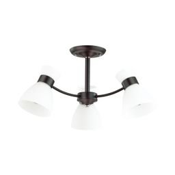 Фото 4534/3C - 1