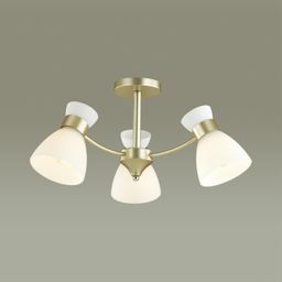 Фото 4535/3C - 3