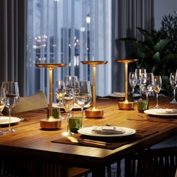 Фото 5033/6TL - 3