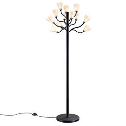 Фото 5090/12F - 4