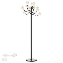 Фото 5090/12F - 5