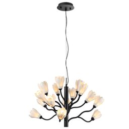 Фото 5090/15 - 4