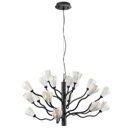 Фото 5090/18 - 1