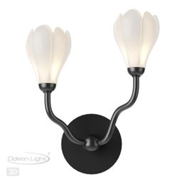 Фото 5090/2W - 5