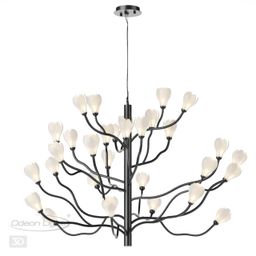 Фото 5090/30 - 5