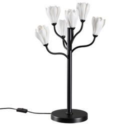 Фото 5090/6T - 1