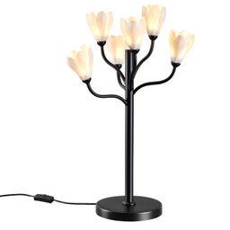 Фото 5090/6T - 4