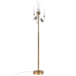 Фото 5431/12FL - 1