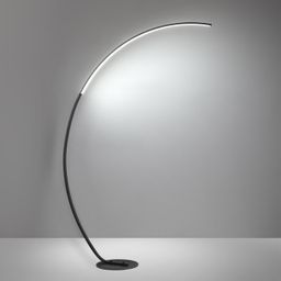 Фото 5676/21FL - 5