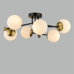 Фото 6581/6C - 4