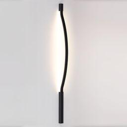 Фото 7006/100D - 4