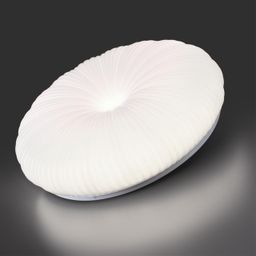 Фото 7678/FL - 4