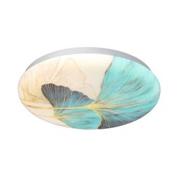 Фото 7747/CL - 5