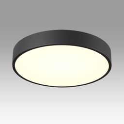 Фото 7758/36L - 3