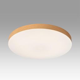 Фото 7761/24L - 4