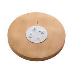 Фото 7761/50L - 3