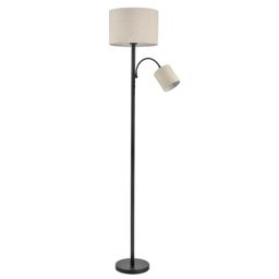 Фото 8042/2F - 1