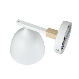 Фото 8095/1W - 3