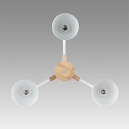 Фото 8095/3C - 5