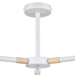 Фото 8097/3C - 4