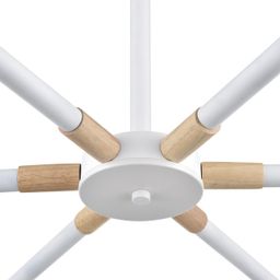 Фото 8097/6C - 4