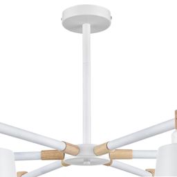 Фото 8097/6C - 5