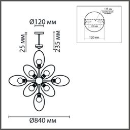 Фото 8193/8C - 2