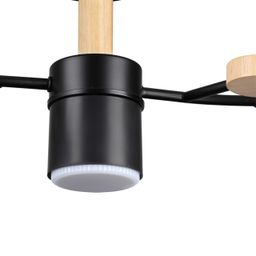 Фото 8194/5C - 3