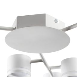 Фото 8235/9C - 3