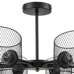 Фото 8238/8C - 5