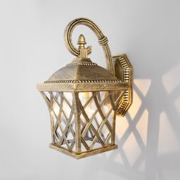 Фото Cassiopeya D - 1