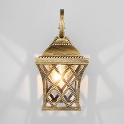 Фото Cassiopeya D - 2