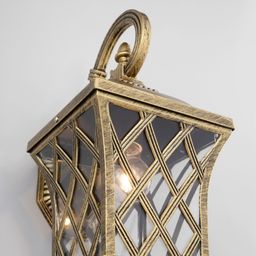 Фото Cassiopeya D - 3