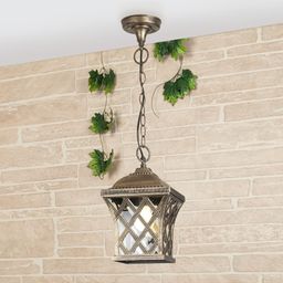 Фото Cassiopeya H - 2