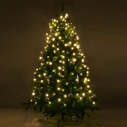 Фото 200-003 - 2