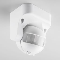 Фото SNS-M-08 - 2