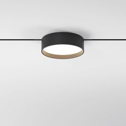 Фото 85161/01 - 2