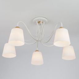 Потолочная люстра со стеклянными плафонами 70062/5 белый