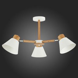 Фото SLE103702-03 - 1