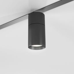 Фото 85197/01 - 2