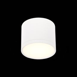 Фото ST113.532.09 - 1