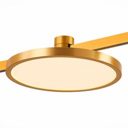 Фото ST818.246.12 - 1