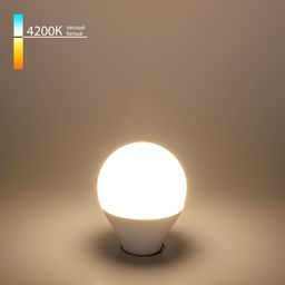 Фото BLE1443 - 1