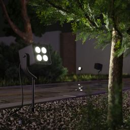 Фото 35142/S - 2