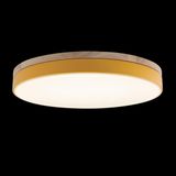 Фото 10001/36 Yellow - 2