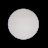 Фото 10002/24 Pink - 4