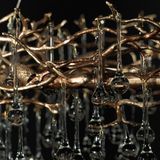 Фото 10068/1000 GB - 16