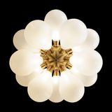 Фото 10130/18 White - 5