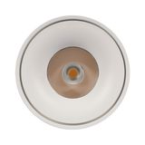 Фото 10219 White 4000K - 3