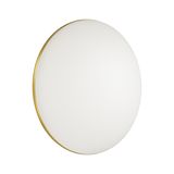 Фото 3043/AL - 1